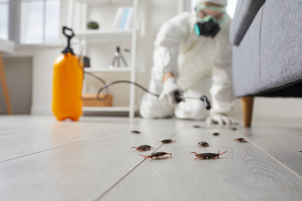 Commercial Kitchen Cockroach Control in Herriman